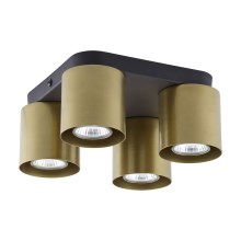 Reflektorska svjetiljka VICO GOLD 4xGU10/10W/230V