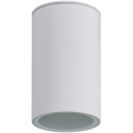 Reflektorska svjetiljka za kupaonicu AQILO 1xE27/20W/230V IP65 bijela