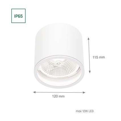 Reflektorska svjetiljka za kupaonicu CHLOE AR111 1xGU10/12W/230V IP65 okrugli bijela