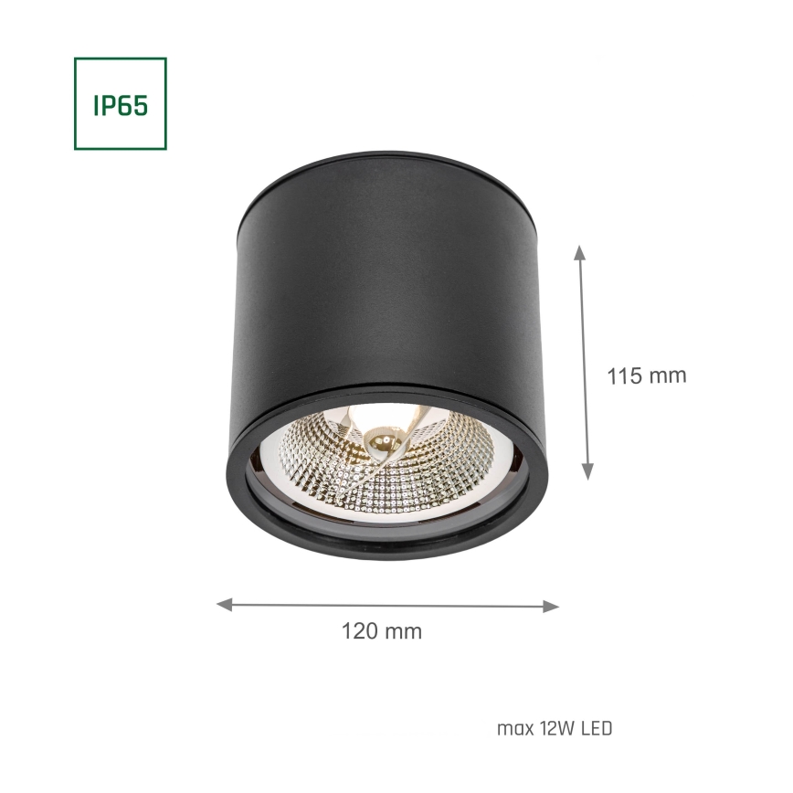 Reflektorska svjetiljka za kupaonicu CHLOE AR111 1xGU10/12W/230V IP65 okrugli crna
