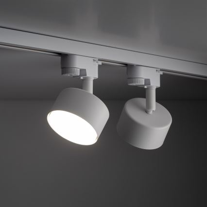 Reflektorska svjetiljka za 1-fazni tračni sustav AVIA 1xGX53/15W/230V bijela