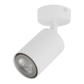 Reflektorska svjetiljka ZOOM 1xGU10/25W/230V bijela