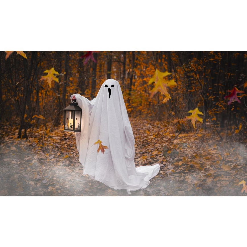LED Dekoracija HALLOWEEN LED/3xAAA/topla bijela fenjer