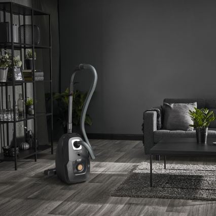 Rowenta - Usisivač s vrećicom ZELENA FORCE EFFITECH ECO TOTAL CLEAN 400W/230V crna