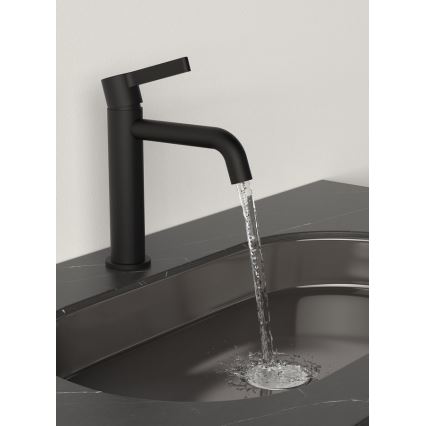 Sapho - Umivaonik slavina ICONIC 18,7 cm mat crna
