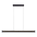 Schöner Wohnen 11316-18 - LED luster na sajli s mogućnošću prigušivanja LENA LED/32W/230V 105 cm crna