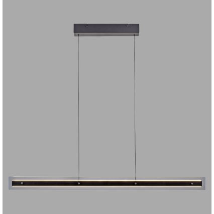 Schöner Wohnen 11316-18 - LED luster na sajli s mogućnošću prigušivanja LENA LED/32W/230V 105 cm crna