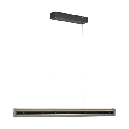Schöner Wohnen 11316-18 - LED luster na sajli s mogućnošću prigušivanja LENA LED/32W/230V 105 cm crna