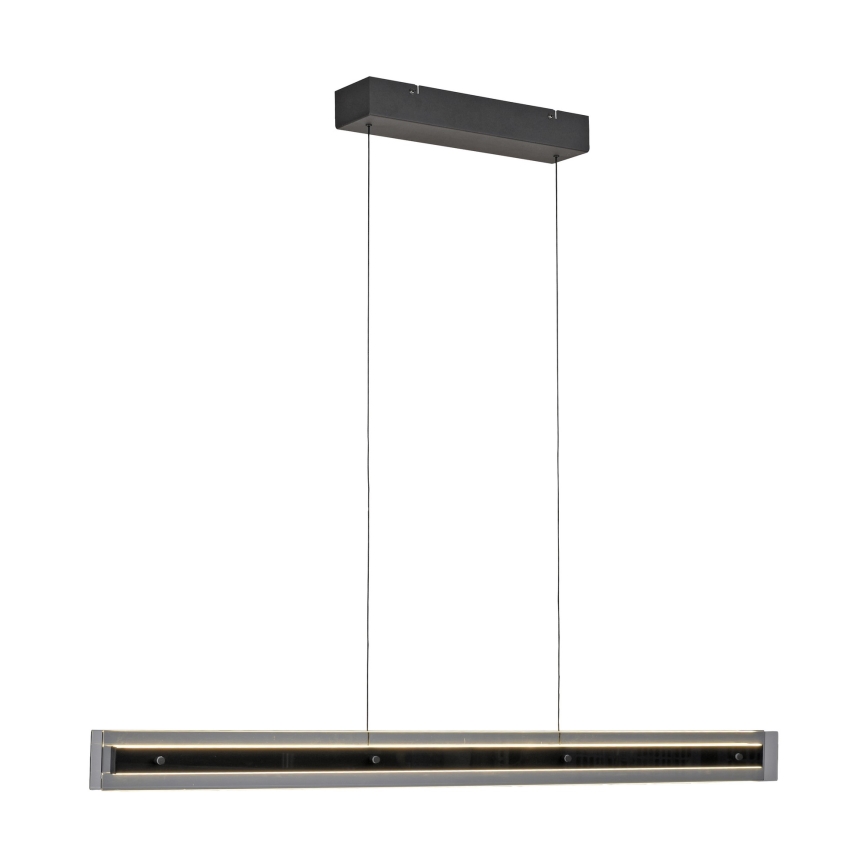 Schöner Wohnen 11316-18 - LED luster na sajli s mogućnošću prigušivanja LENA LED/32W/230V 105 cm crna