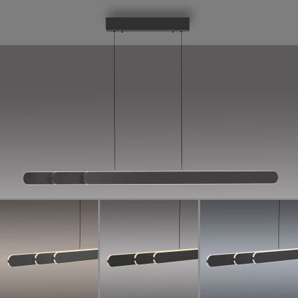 Schöner Wohnen 12577-18 - Viseća svjetiljka na kabelu s mogućnošću prigušivanja ADRIANA ROUND 2xLED/24W/230V 2700/3000/3500/4000/5000K crna