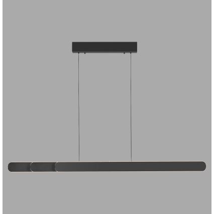 Schöner Wohnen 12577-18 - Viseća svjetiljka na kabelu s mogućnošću prigušivanja ADRIANA ROUND 2xLED/24W/230V 2700/3000/3500/4000/5000K crna