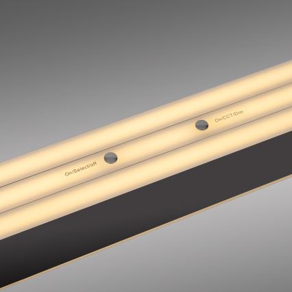 Schöner Wohnen 12577-18 - Viseća svjetiljka na kabelu s mogućnošću prigušivanja ADRIANA ROUND 2xLED/24W/230V 2700/3000/3500/4000/5000K crna