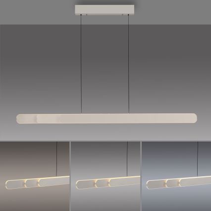 Schöner Wohnen 12577-39 - LED viseći luster na sajli s mogućnošću prigušivanja ADRIANA ROUND 2xLED/24W/230V 2700/3000/3500/4000/5000K siva