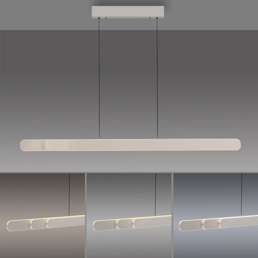 Schöner Wohnen 12577-39 - LED viseći luster na sajli s mogućnošću prigušivanja ADRIANA ROUND 2xLED/24W/230V 2700/3000/3500/4000/5000K siva