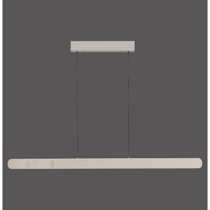 Schöner Wohnen 12577-39 - LED viseći luster na sajli s mogućnošću prigušivanja ADRIANA ROUND 2xLED/24W/230V 2700/3000/3500/4000/5000K siva