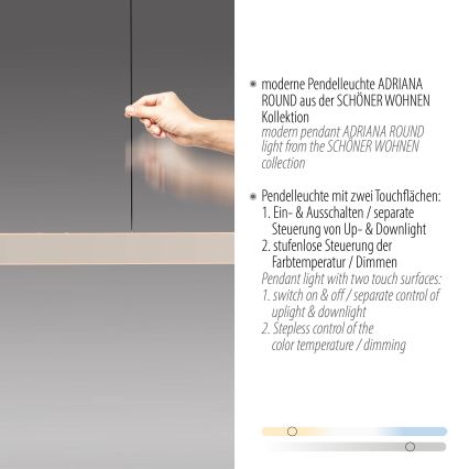 Schöner Wohnen 12577-39 - LED viseći luster na sajli s mogućnošću prigušivanja ADRIANA ROUND 2xLED/24W/230V 2700/3000/3500/4000/5000K siva