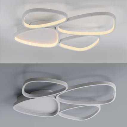 Schöner Wohnen 14038-16 - LED stropna svjetiljka PEBBLES s prigušivanjem LED/35,5W/230V bijela