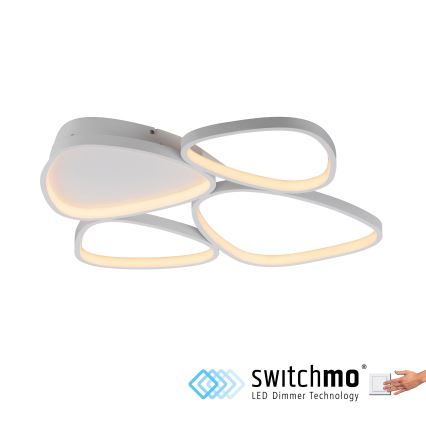 Schöner Wohnen 14038-16 - LED stropna svjetiljka PEBBLES s prigušivanjem LED/35,5W/230V bijela