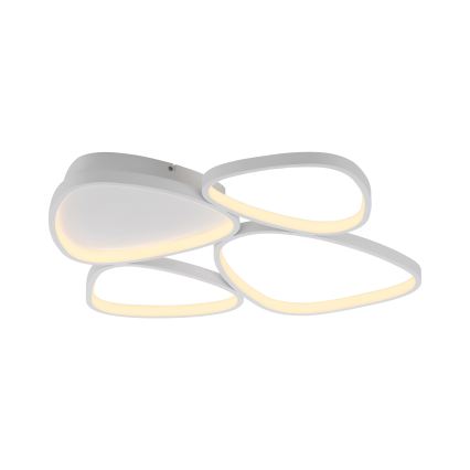 Schöner Wohnen 14038-16 - LED stropna svjetiljka PEBBLES s prigušivanjem LED/35,5W/230V bijela