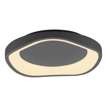 Schöner Wohnen 14233-18 - LED stropna svjetiljka MONTA s prigušivanjem LED/21W/230V pr. 40 cm crna