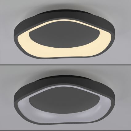 Schöner Wohnen 14233-18 - LED stropna svjetiljka MONTA s prigušivanjem LED/21W/230V pr. 40 cm crna