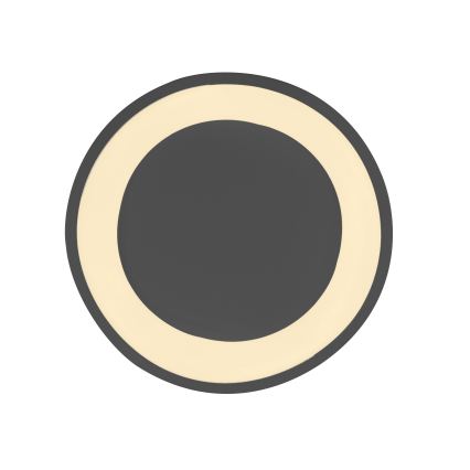 Schöner Wohnen 14233-18 - LED stropna svjetiljka MONTA s prigušivanjem LED/21W/230V pr. 40 cm crna