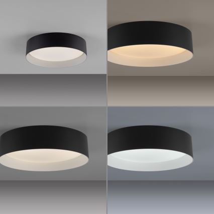 Schöner Wohnen 14593-18 - LED stropna svjetiljka s prigušivanjem TAVOLI LED/10W/230V 2700-6500K Ø 28,5 cm crna + daljinski upravljač