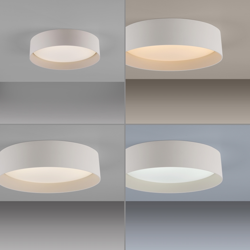 Schöner Wohnen 14593-39 - prigušiva LED stropna svjetiljka TAVOLI LED/10W/230V 2700-6500K Ø 28,5 cm siva + daljinski upravljač