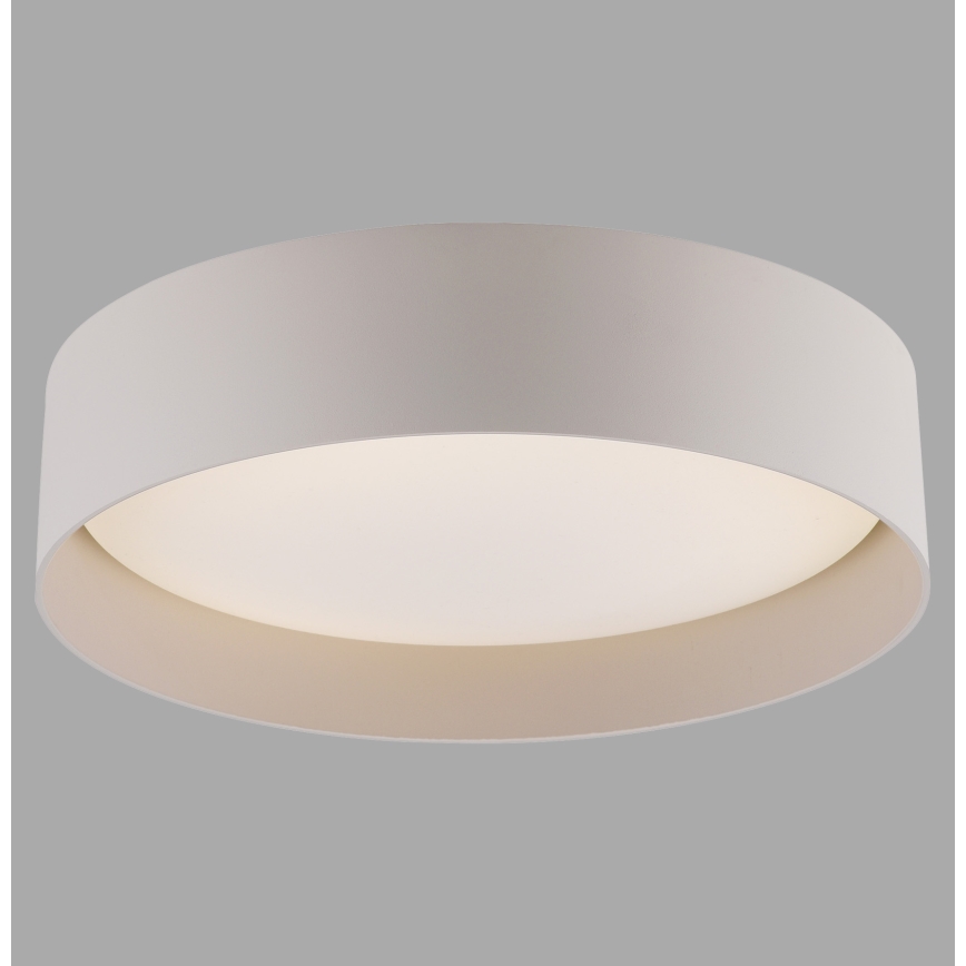 Schöner Wohnen 14593-39 - prigušiva LED stropna svjetiljka TAVOLI LED/10W/230V 2700-6500K Ø 28,5 cm siva + daljinski upravljač