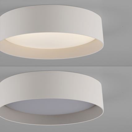 Schöner Wohnen 14593-39 - prigušiva LED stropna svjetiljka TAVOLI LED/10W/230V 2700-6500K Ø 28,5 cm siva + daljinski upravljač