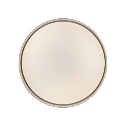 Schöner Wohnen 14593-39 - prigušiva LED stropna svjetiljka TAVOLI LED/10W/230V 2700-6500K Ø 28,5 cm siva + daljinski upravljač