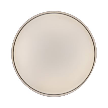 Schöner Wohnen 14594-39 - LED prigušivo stropno svjetlo TAVOLI LED/20W/230V 2700-6500K Ø 39 cm siva + daljinski upravljač