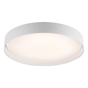 Schöner Wohnen 14595-16 - Prigušiva LED stropna svjetiljka TAVOLI LED/34W/230V 2700-6500K Ø 49 cm bijela + daljinski upravljač