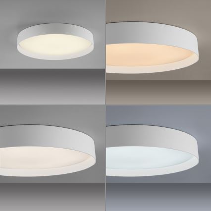 Schöner Wohnen 14595-16 - Prigušiva LED stropna svjetiljka TAVOLI LED/34W/230V 2700-6500K Ø 49 cm bijela + daljinski upravljač