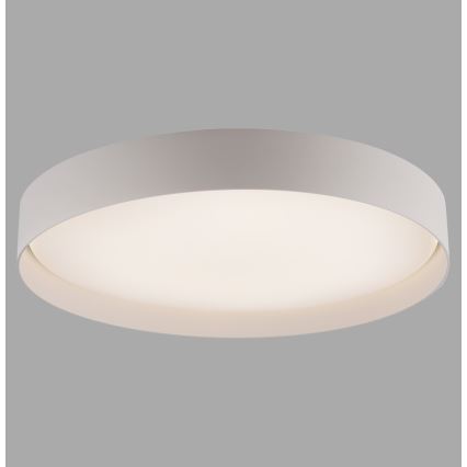 Schöner Wohnen 14595-39 - LED stropno svjetlo TAVOLI s mogućnošću prigušivanja LED/34W/230V 2700-6500K promjer 49 cm siva + daljinski upravljač
