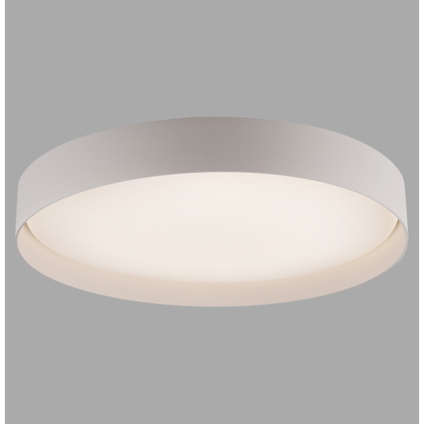 Schöner Wohnen 14595-39 - LED stropno svjetlo TAVOLI s mogućnošću prigušivanja LED/34W/230V 2700-6500K promjer 49 cm siva + daljinski upravljač