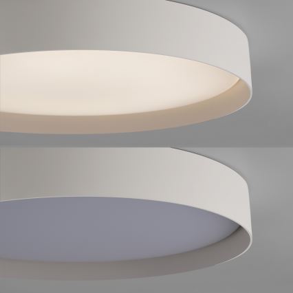 Schöner Wohnen 14595-39 - LED stropno svjetlo TAVOLI s mogućnošću prigušivanja LED/34W/230V 2700-6500K promjer 49 cm siva + daljinski upravljač