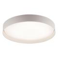 Schöner Wohnen 14595-39 - LED stropno svjetlo TAVOLI s mogućnošću prigušivanja LED/34W/230V 2700-6500K promjer 49 cm siva + daljinski upravljač