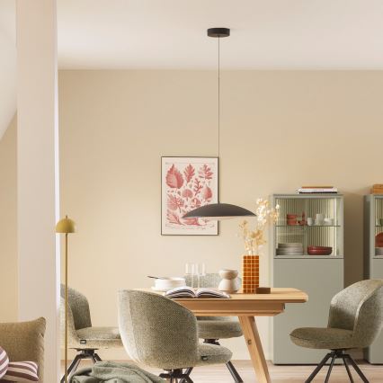 Schöner Wohnen 14606-18 - Zatemnjiv LED viseći luster na sajli LENTE LED/17W/230V Ø 40 cm, crna