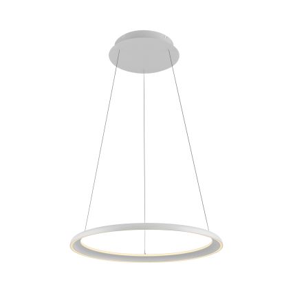 Schöner Wohnen 15570-16 - LED luster s prigušivanjem na sajli QUILLO LED/36W/230V, promjer 60 cm, bijela