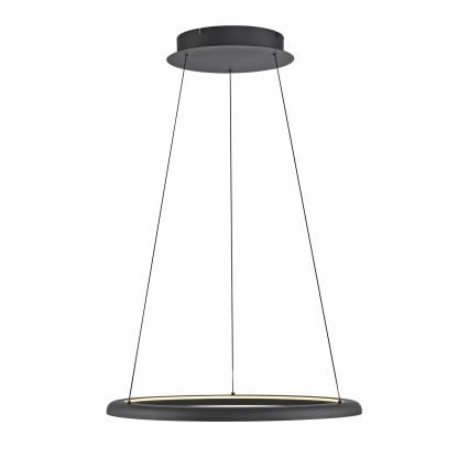 Schöner Wohnen 15570-18 - LED luster QUILLO s mogućnošću prigušivanja, na užetu, LED/36W/230V, Ø 60 cm, crni