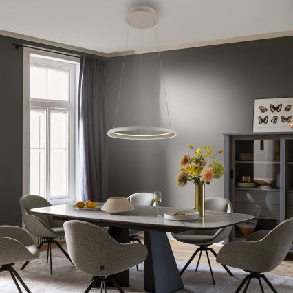 Schöner Wohnen 15570-39 - LED viseći luster s mogućnošću prigušivanja na sajli QUILLO LED/36W/230V Ø 60 cm siva