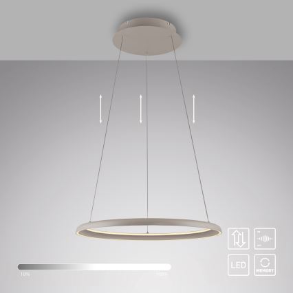 Schöner Wohnen 15570-39 - LED viseći luster s mogućnošću prigušivanja na sajli QUILLO LED/36W/230V Ø 60 cm siva