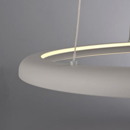 Schöner Wohnen 15570-39 - LED viseći luster s mogućnošću prigušivanja na sajli QUILLO LED/36W/230V Ø 60 cm siva