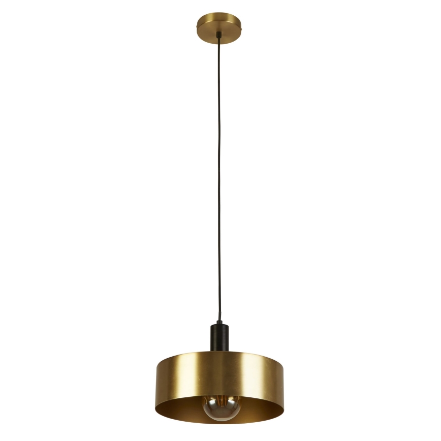 Searchlight - Luster na sajli KNOX 1xE27/60W/230V zlatna