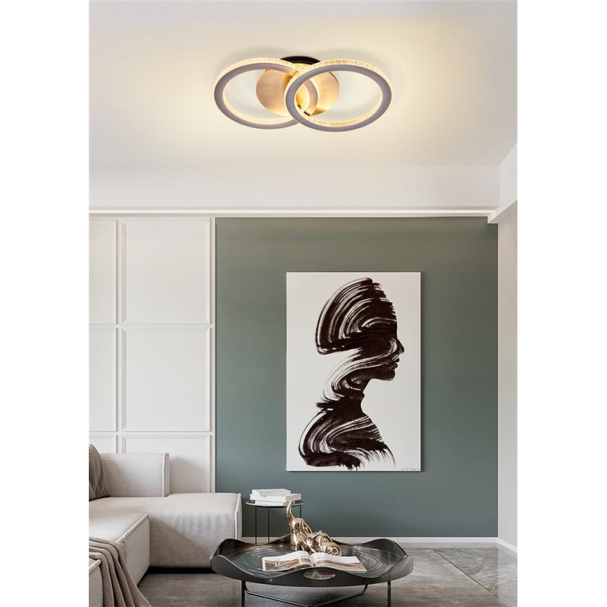 Searchlight - LED stropna svjetiljka s mogućnošću prigušivanja SPECS LED/24W/230V 3000K 25x42,5 cm