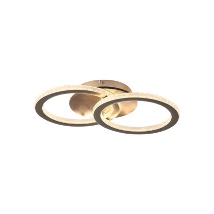 Searchlight - LED stropna svjetiljka s mogućnošću prigušivanja SPECS LED/24W/230V 3000K 25x42,5 cm