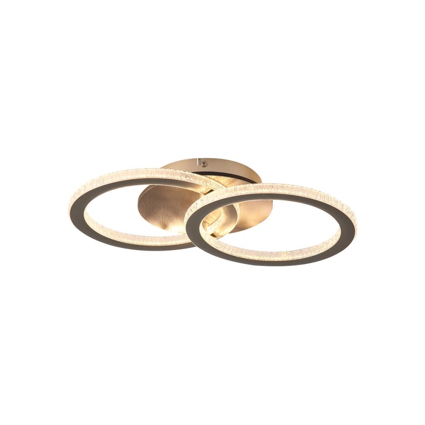 Searchlight - LED stropna svjetiljka s mogućnošću prigušivanja SPECS LED/24W/230V 3000K 25x42,5 cm