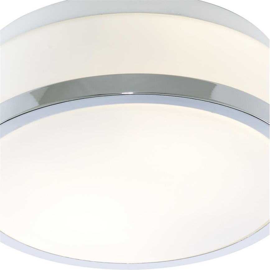 Searchlight - Stropna svjetiljka za kupaonicu DISC 1xE27/60W/230V IP44