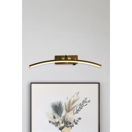 Searchlight - LED svjetiljka za slike SANTORINI LED/11,03W/230V mesing